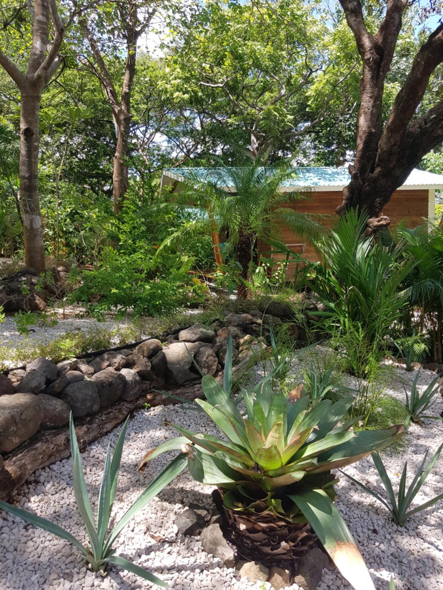 Baliyana Lodge San Jose Pinilla Luaran gambar
