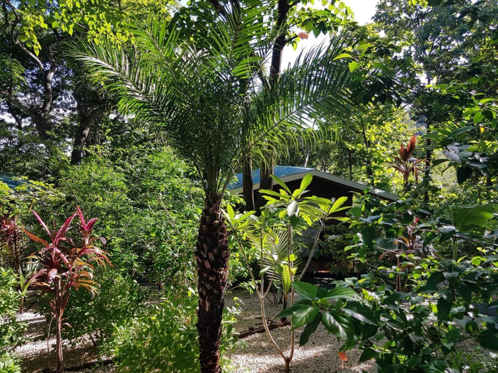 Baliyana Lodge San Jose Pinilla Luaran gambar